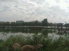 -飞来湖湿地公园