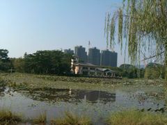 -大屏嶂森林公园