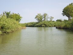 -泗洪洪泽湖湿地景区