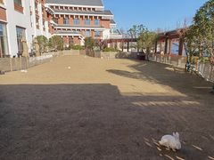 -嘉兴清池酒店温泉
