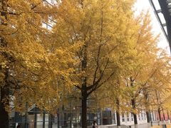 -四川大学(江安校区)