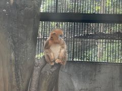 -杭州少年儿童公园
