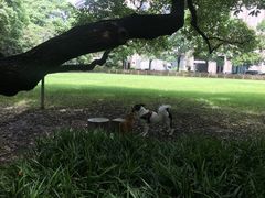 -上海静安宾馆