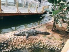 -石家庄市动物园