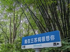 -王家渡火锅(三苏祠店)