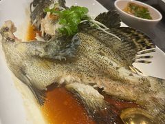 -羲和雅苑•北京烤鸭(国贸商城店)