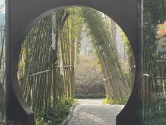 -雅达·阳羡溪山小镇中心