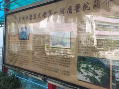 -广州中医药大学第一附属医院(总院)