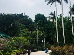 -九龙公园