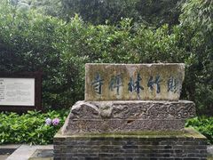 -镇江市南山风景名胜区竹林景区