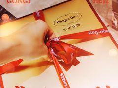 -哈根达斯(武汉天地店)