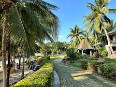 -日落吧·海景咖啡厅·餐酒吧·鸡尾酒·下午茶·乐队表演·浪漫夕阳·三亚文华东方酒店