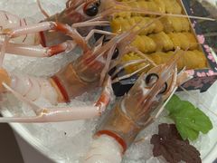 -斯普汇生蚝牛排馆(中骏世界城店)