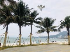 -巽寮湾