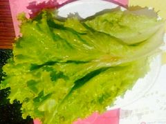生菜-番食园鲜食火锅(高新店)