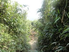 -大罗山风景区