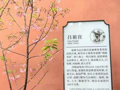 -乌山风景区