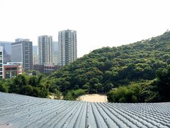 -鲤鱼塘农家山庄