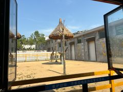 -西霞口神雕山野生动物世界