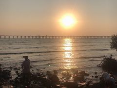 -宝安西湾红树林湿地公园