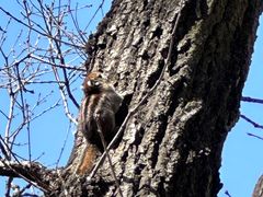 -终南山南五台景区
