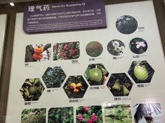 -北京中医药大学-中医药博物馆
