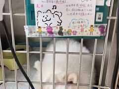 -格蕾宠物医院24H·猫科·肿瘤科·骨科中心(福州总院)