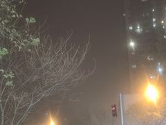 -京城·森鸽排档(双井店)