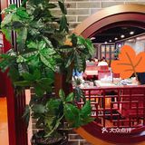 深圳茶点| 点都德秋季新品上市啦