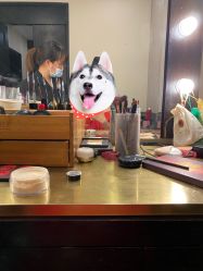 点击看大图 -盘子女人坊古装写真摄影(天津总店)