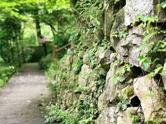 -东海大峡谷