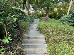 -徐家汇源景区-衡山公园