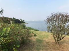 -上海滴水湖皇冠假日酒店