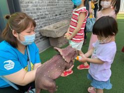 -恐龙探索乐园(磁器口店)