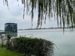 -上海月湖雕塑公园