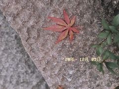 -中国茶叶博物馆(双峰馆区)