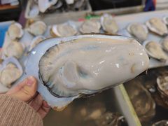 -南沙十九涌渔人码头-南门