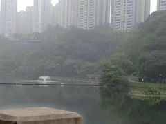 -重庆彩云湖湿地公园