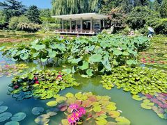 -国家植物园