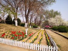 -永定河休闲森林公园