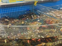 -皇宫大酒店