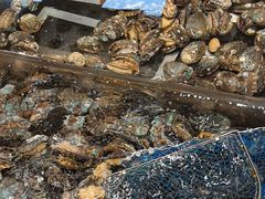 -海鲜e族(马王堆店)