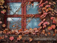 -半岛1919创意园区