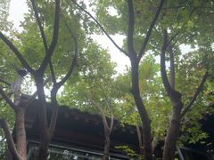-VOYAGE COFFEE(杨梅竹店)