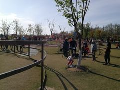 -上海长兴岛郊野公园