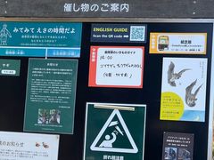 -井之头恩赐公园