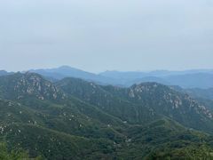 -大岭沟猕猴桃谷风景区