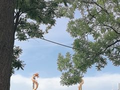 -大召无量寺