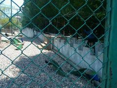 -南京金牛湖风景区