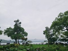 -杭州西湖柳莺里酒店